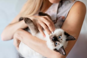 banner-1