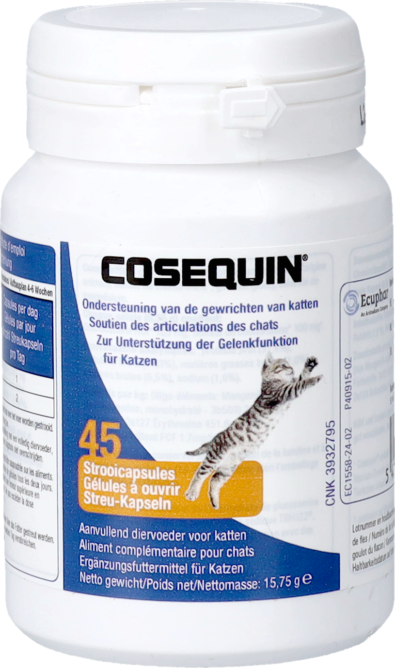 COSEQUIN ADV. CHAT