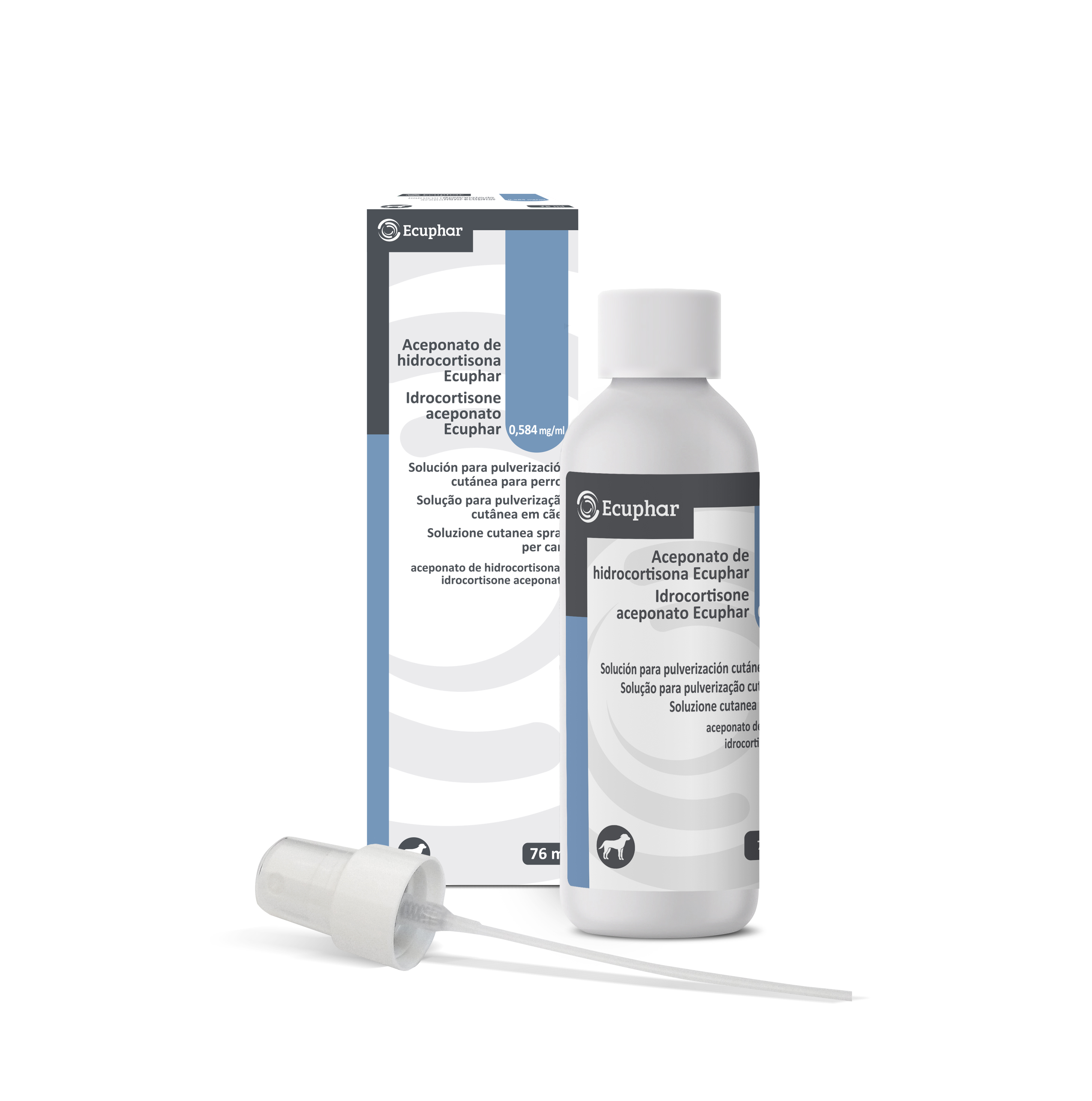 HYDROCORTISONE ACEP