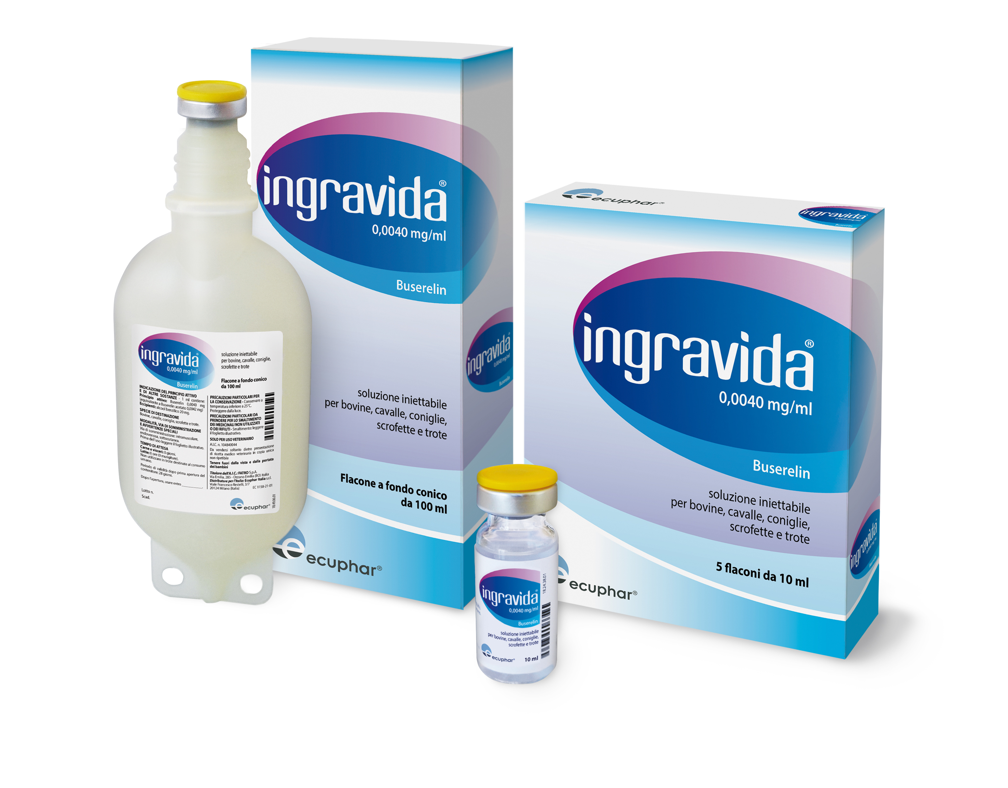 INGRAVIDA