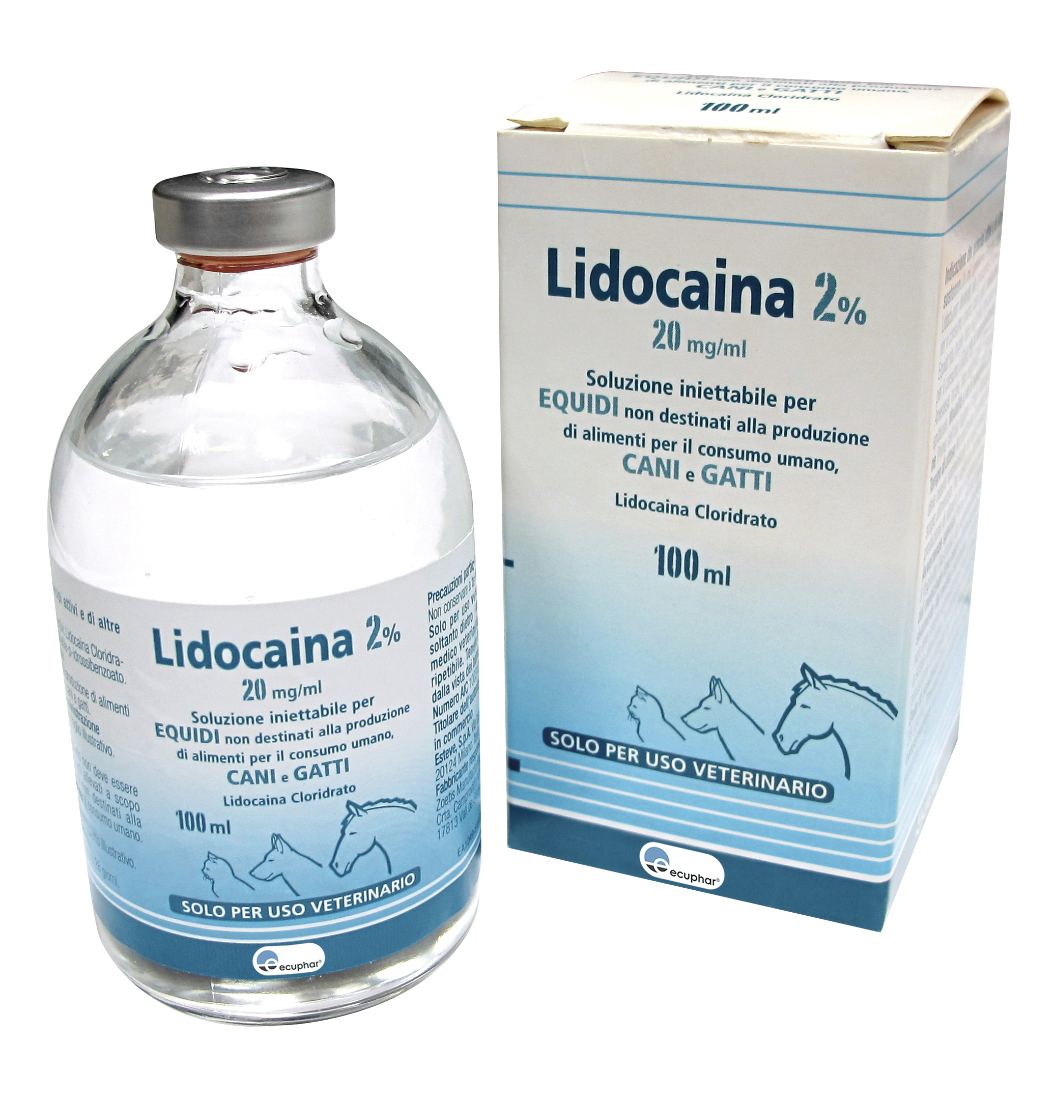 LIDOCAINA 2%