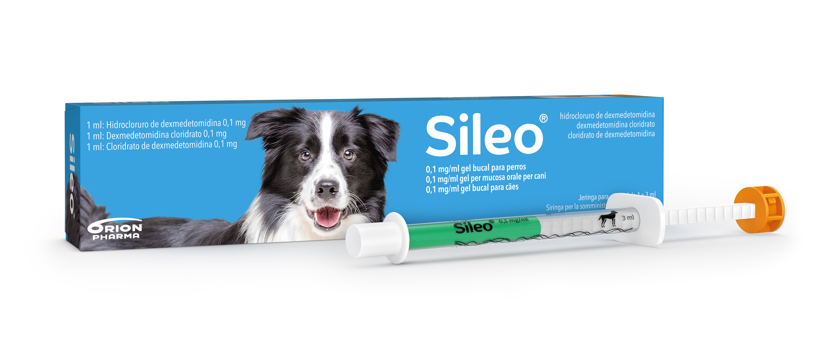 SILEO