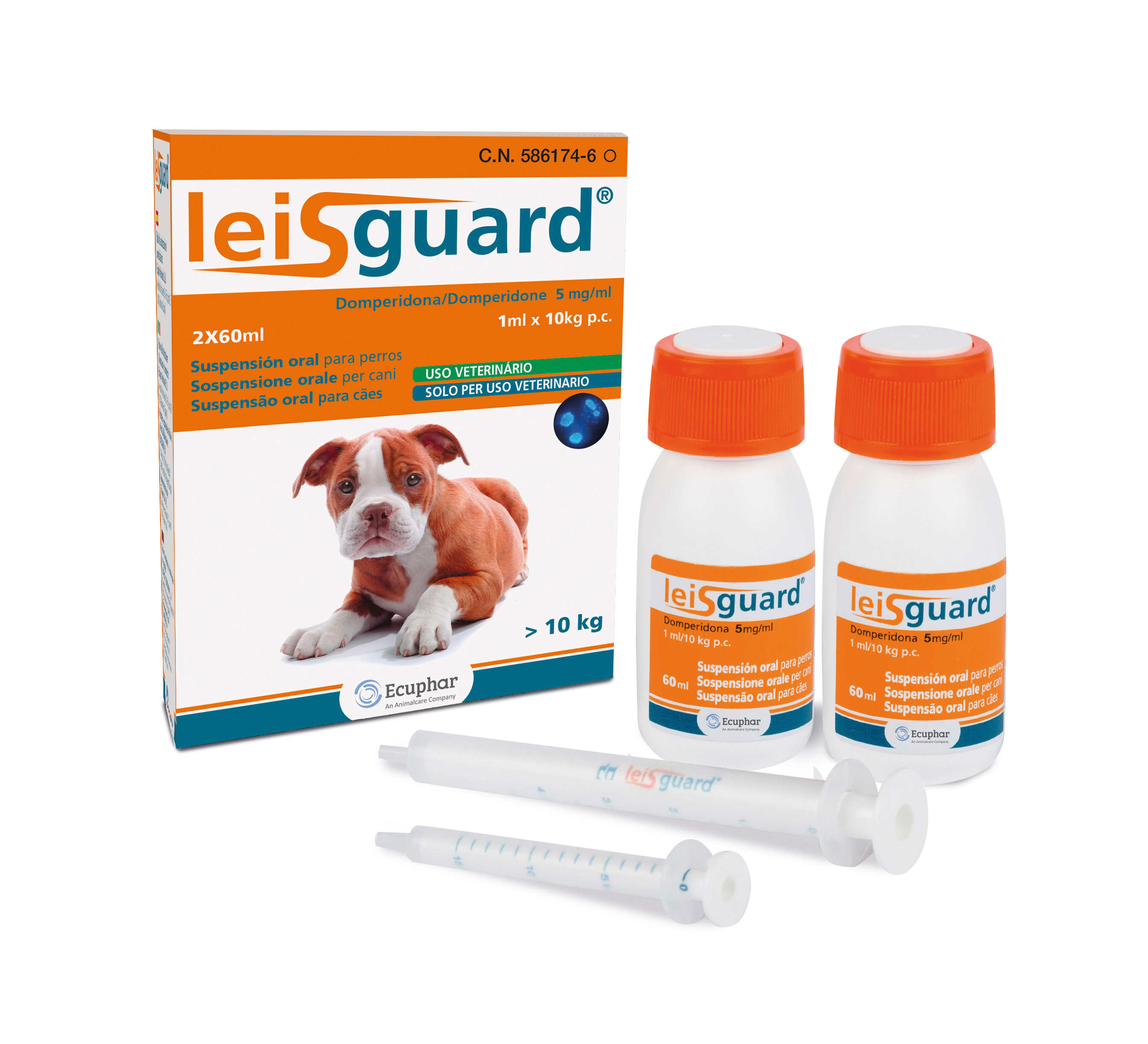 LEISGUARD