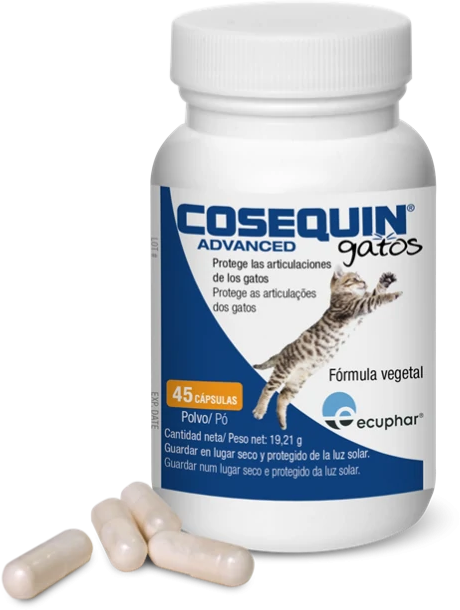 COSEQUIN ADV. GATTO