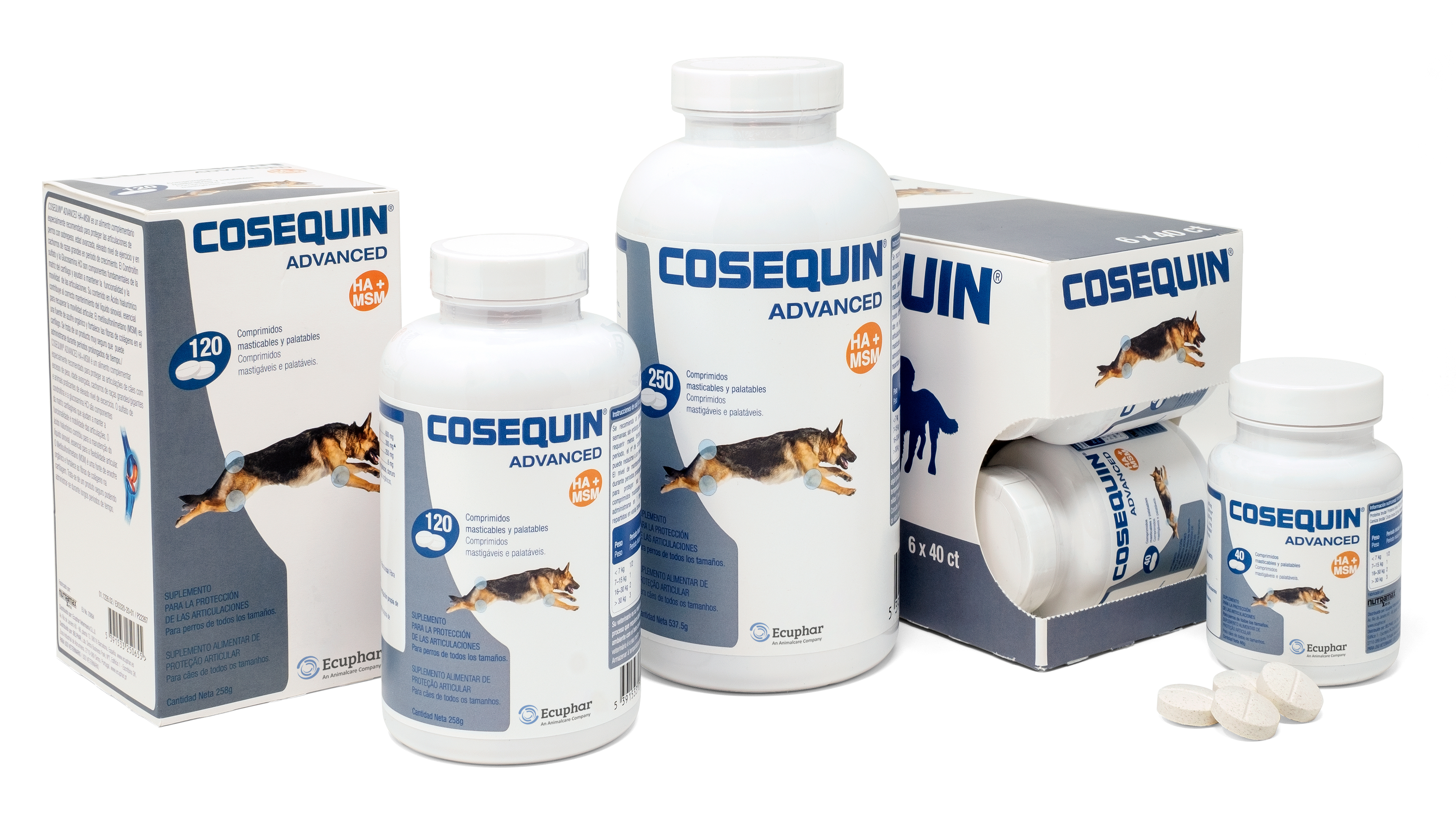 COSEQUIN ADV. PERRO
