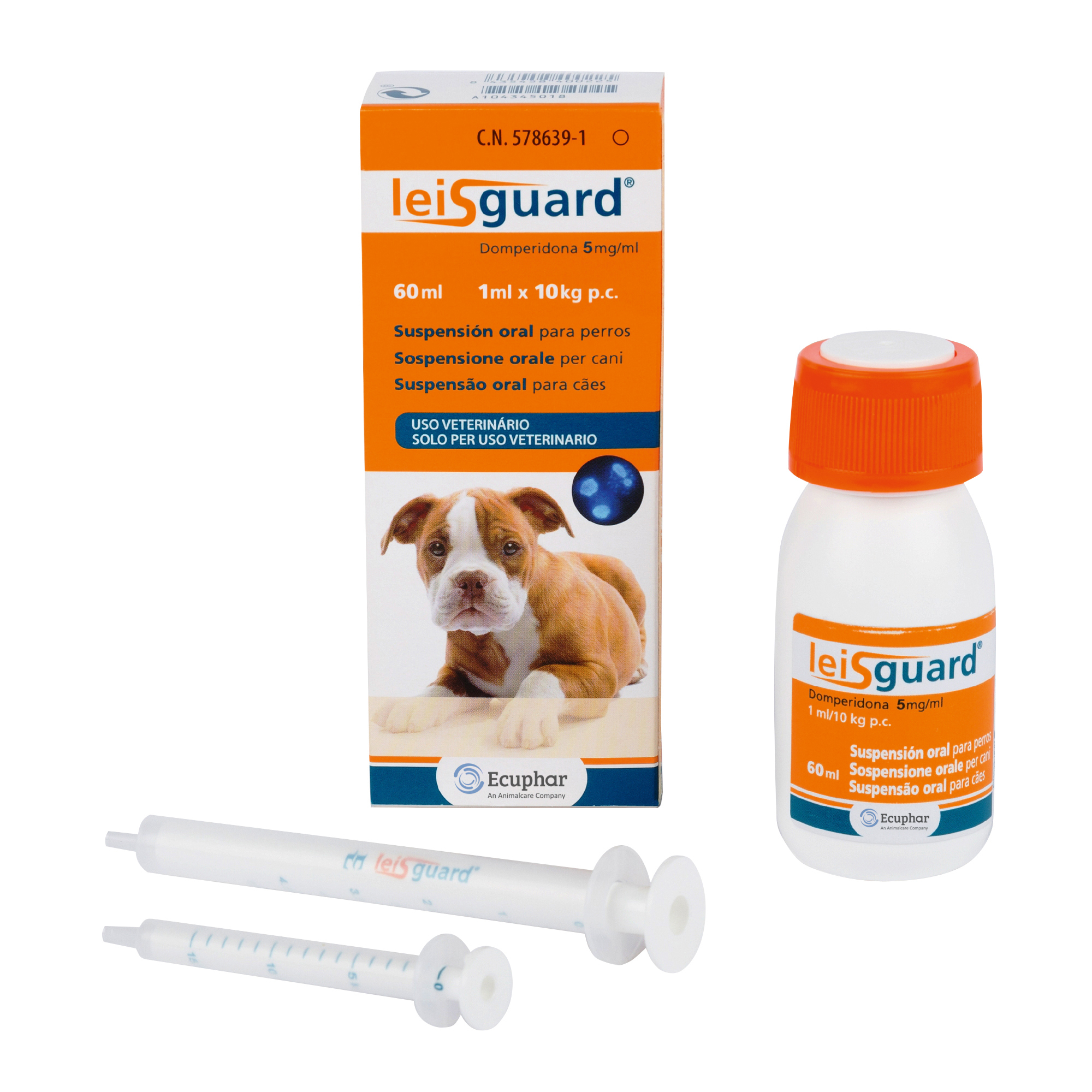 LEISGUARD