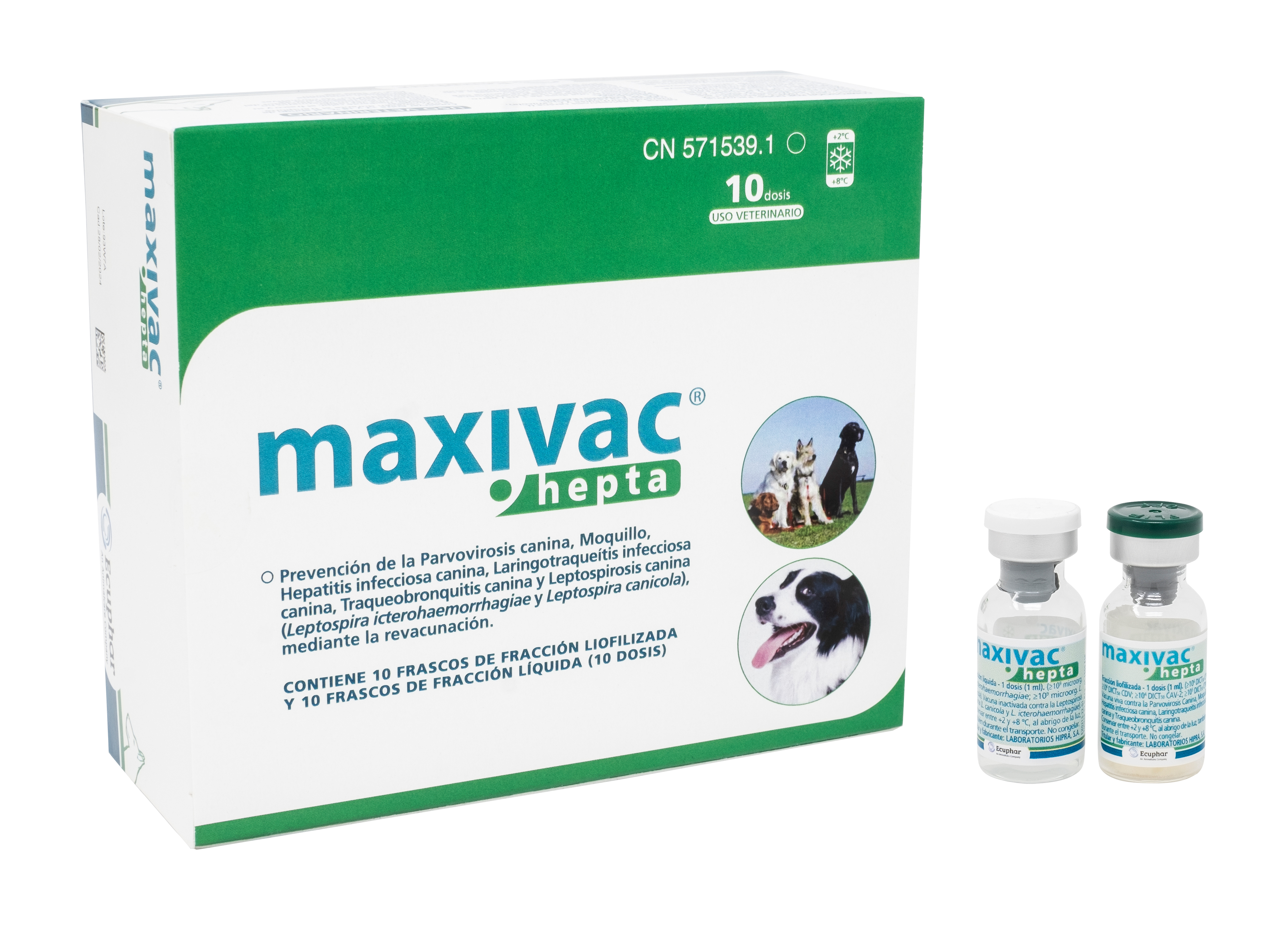 MAXIVAC HEPTA
