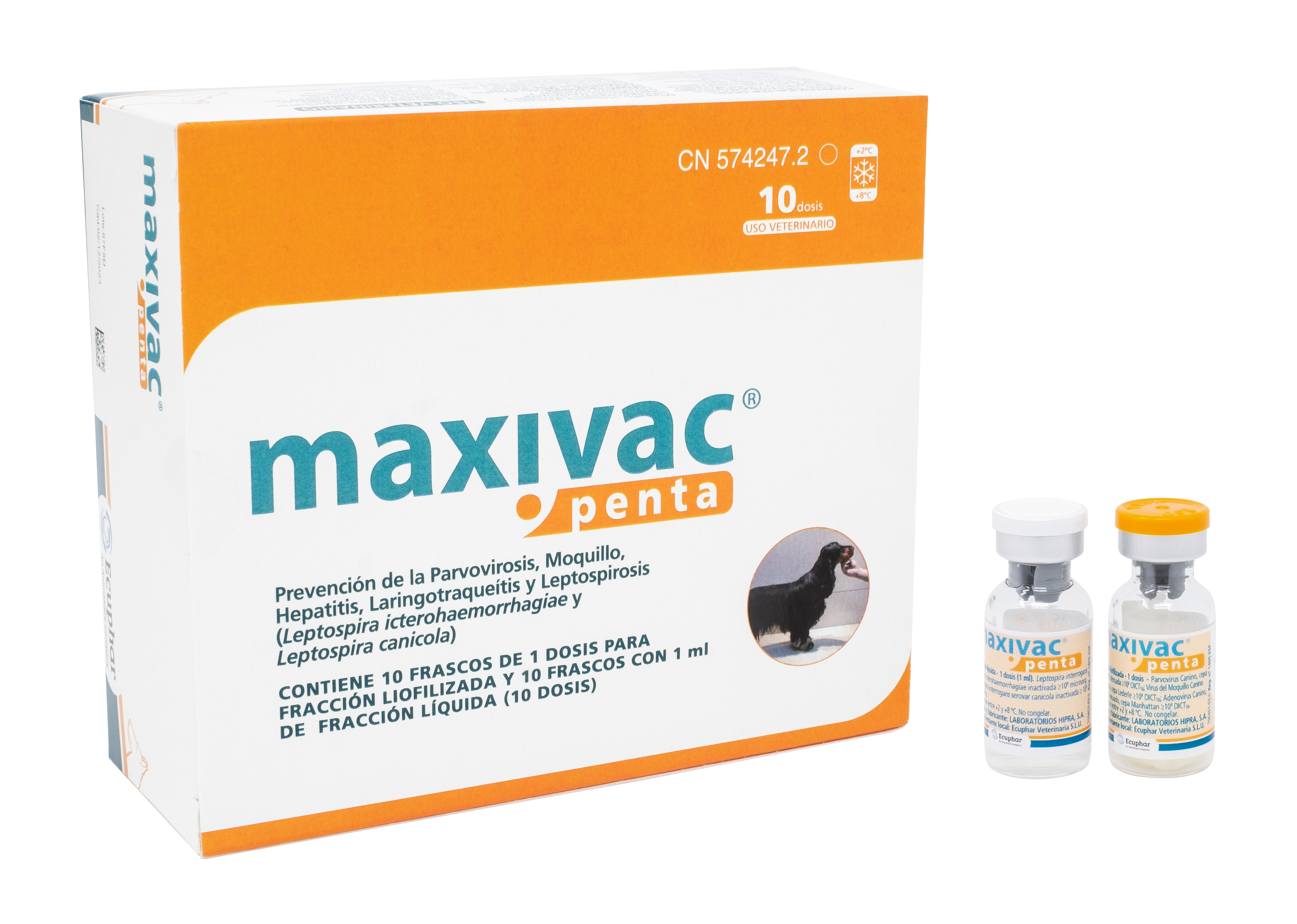 MAXIVAC PENTA