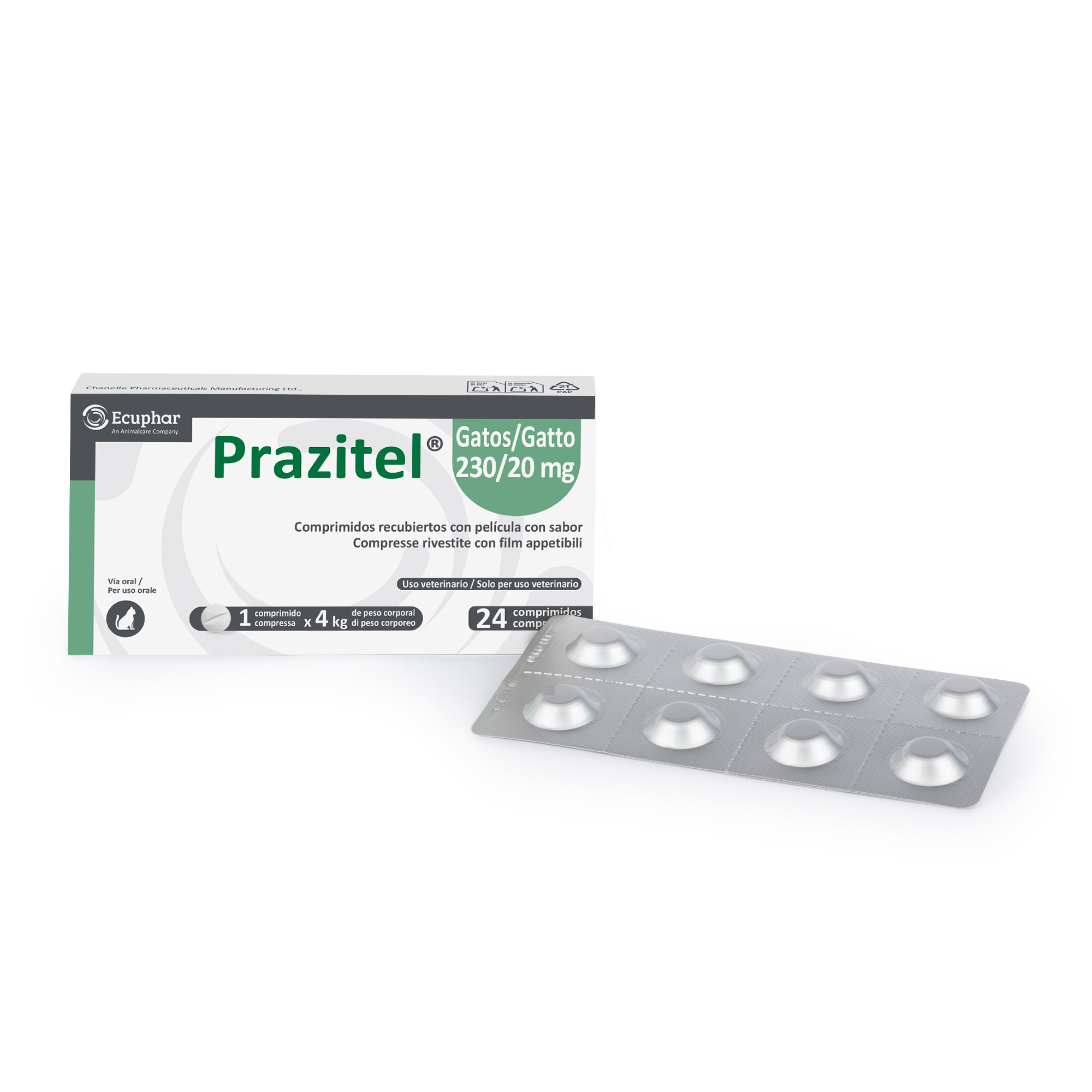 PRAZITEL