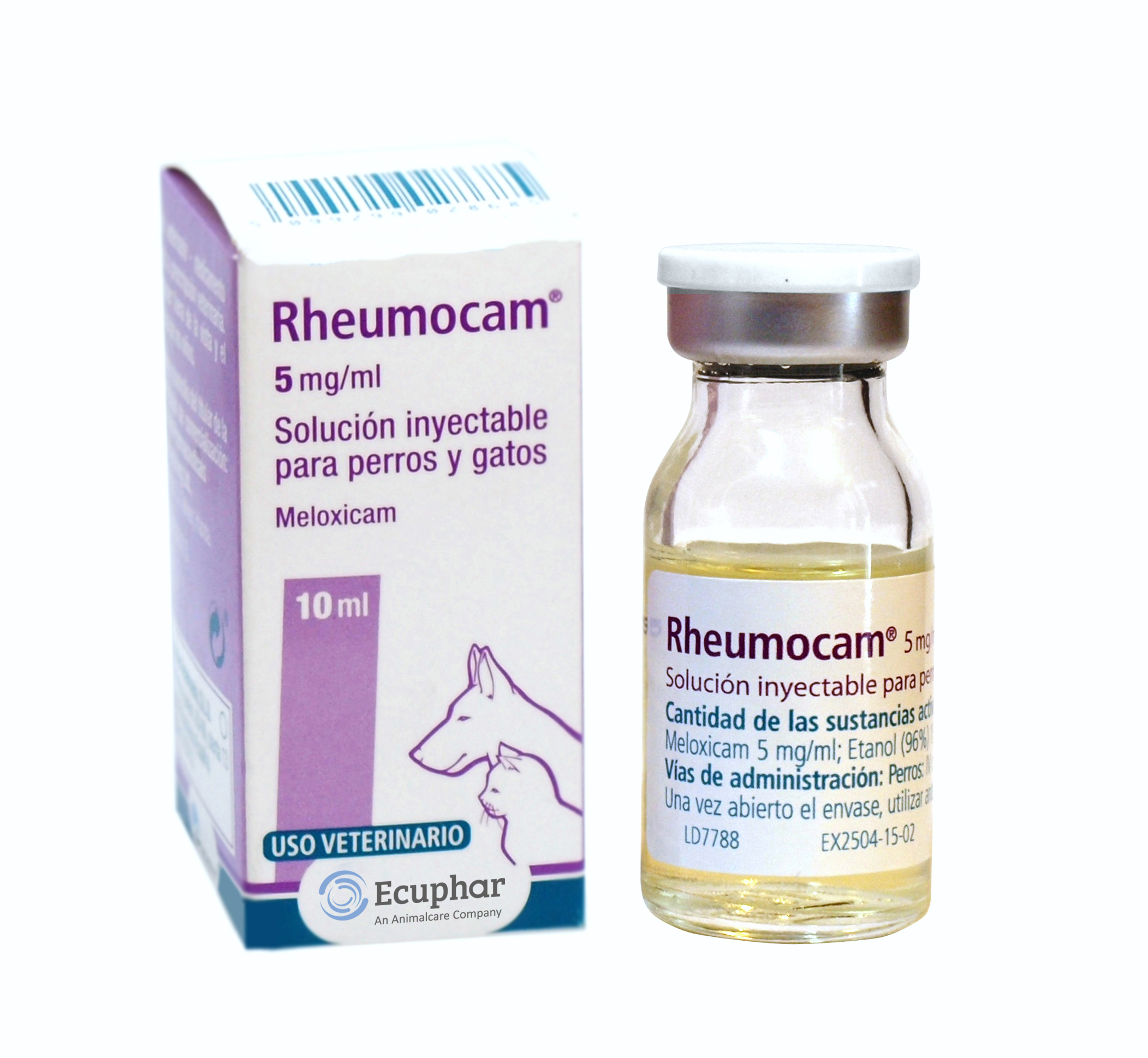 RHEUMOCAM INY.
